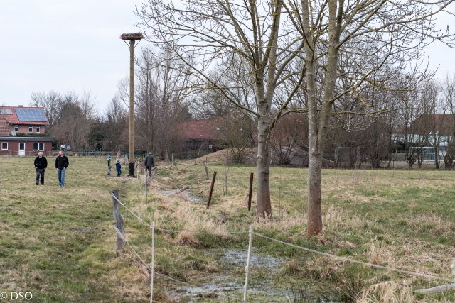 2018 Storchennest(auf)bau in Ausbuettel und Ribbesbuettel 036